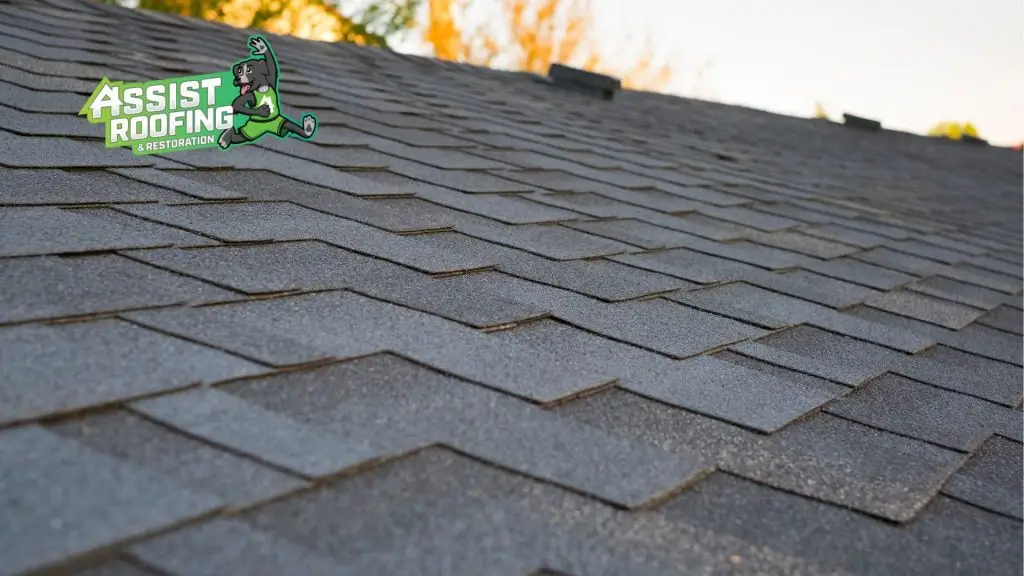 types of roof maintenance