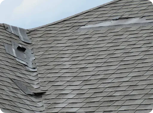 hail damage roofers